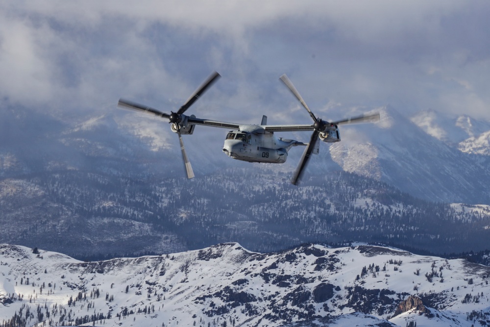 VMM-164 transports HMLA-367 Marines