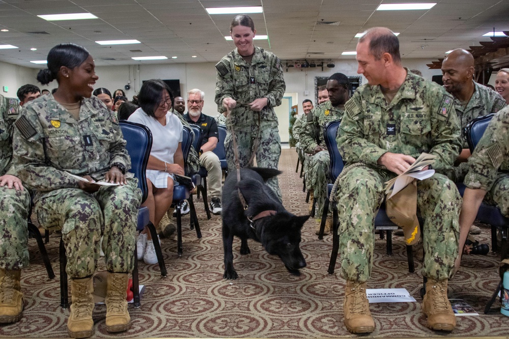 Military Working Dog Fanta retires from the U.S. Navy
