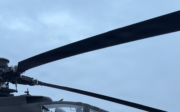 12th Combat Aviation Brigade trains with Dutch Allies at AMTEC 26-01