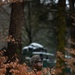 U.S. Army Soldiers Conduct Field Training During Combined Resolve 26-05 in Hohenfels, Germany.