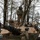 U.S. Army Soldiers Conduct Field Training During Combined Resolve 26-05 in Hohenfels, Germany.