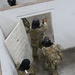 224th Security Forces Squadron Conducts Active Shooter Training