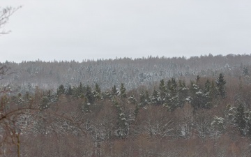 U.S. Soldiers Conduct Tactical Training for Combined Resolve 26-05