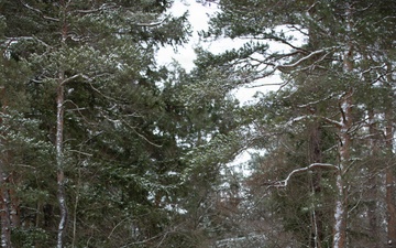 U.S. Army Soldiers Utilize M1A2 Abrams During Combined Resolve 26-05 In Hohenfels, Germany.