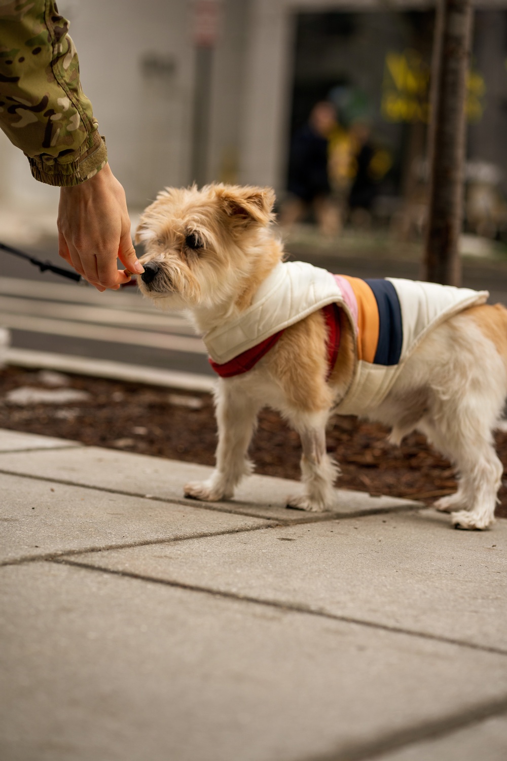 Arkansas National Guard Patrol in Support of D.C. Safe and Beautiful