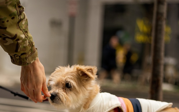 Arkansas National Guard Patrol in Support of D.C. Safe and Beautiful