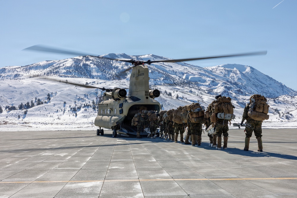 U.S. Marines with 2nd Bn., 4th Marines conduct force-on-force training during MTX 1-26