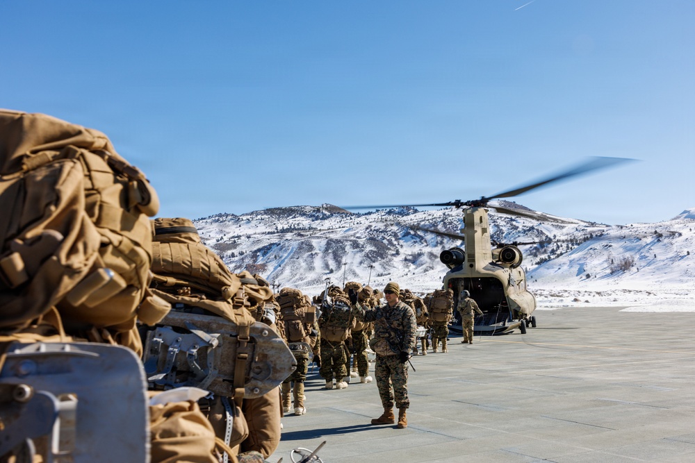 U.S. Marines with 2nd Bn., 4th Marines conduct force-on-force training during MTX 1-26