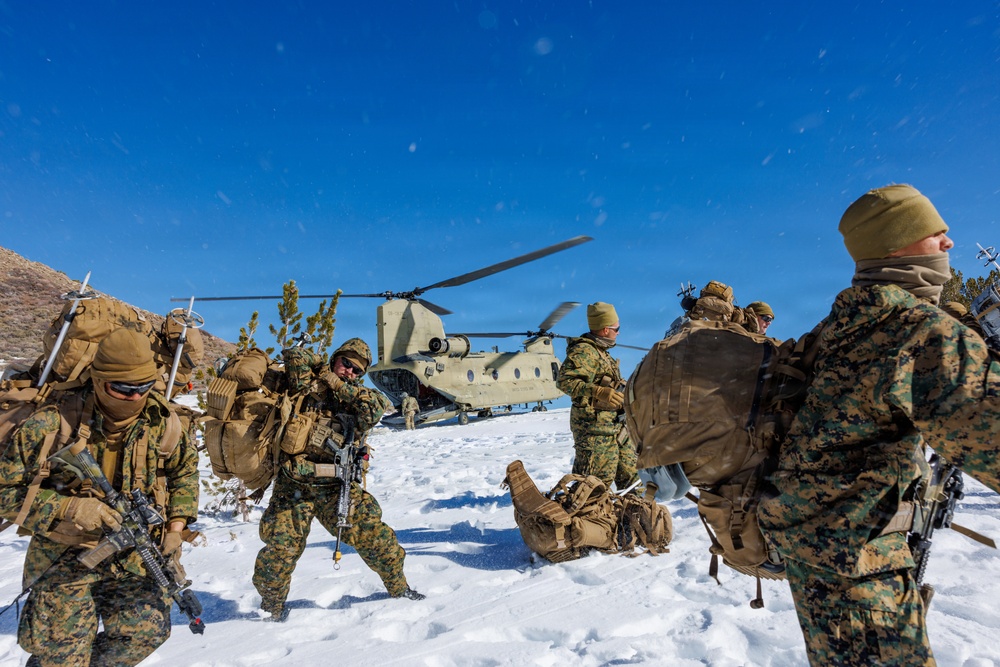 U.S. Marines with 2nd Bn., 4th Marines conduct force-on-force training during MTX 1-26