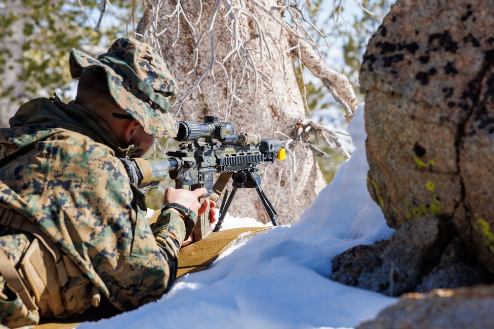 U.S. Marines with 2nd Bn., 4th Marines conduct force-on-force training during MTX 1-26