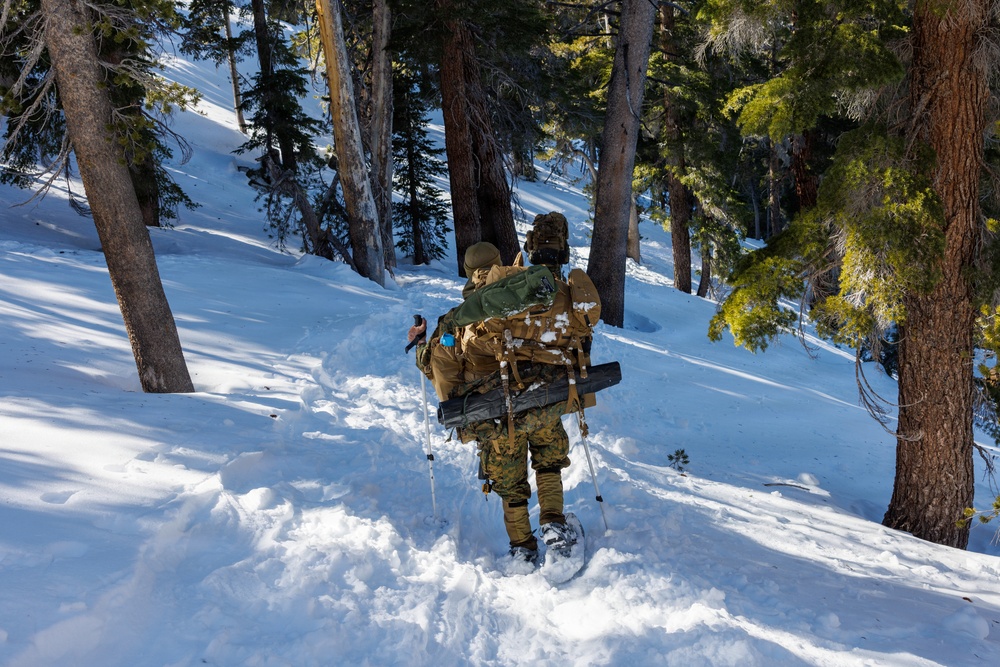 U.S. Marines with 2nd Bn., 4th Marines conduct force-on-force training during MTX 1-26