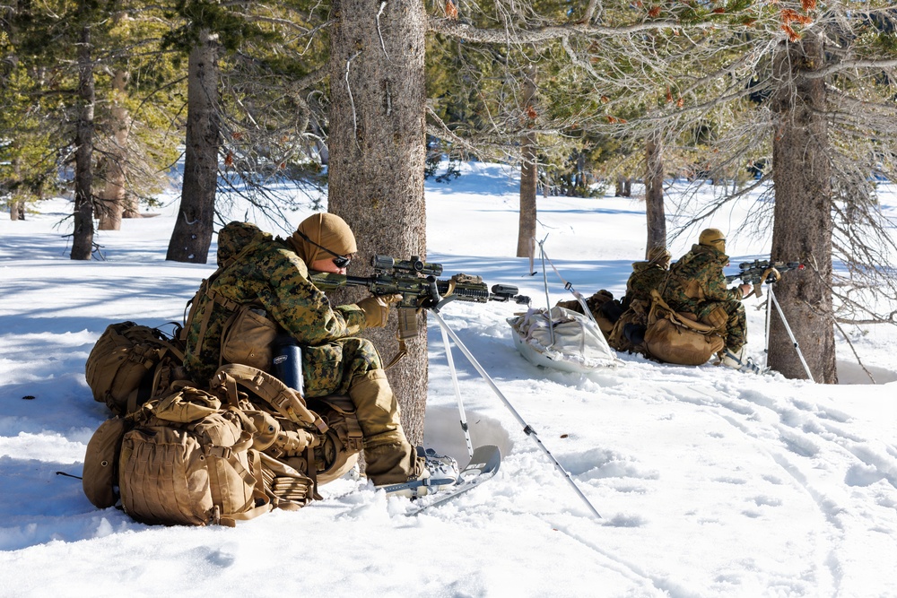 U.S. Marines with 2nd Bn., 4th Marines conduct force-on-force training during MTX 1-26