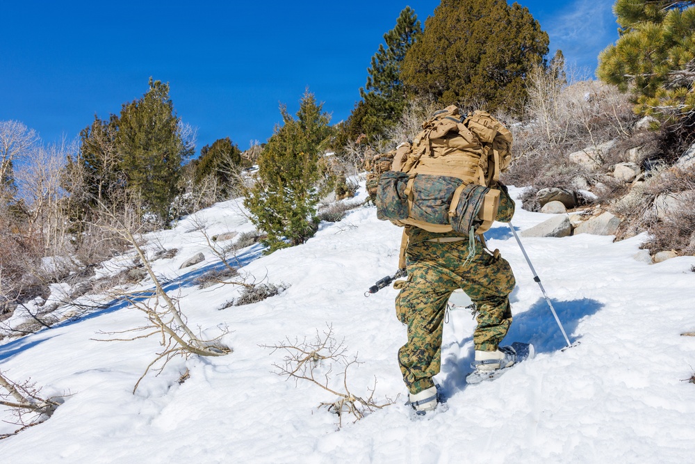 U.S. Marines with 2nd Bn., 4th Marines conduct force-on-force training during MTX 1-26