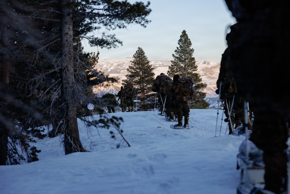 U.S. Marines with 2nd Bn., 4th Marines conduct force-on-force training during MTX 1-26