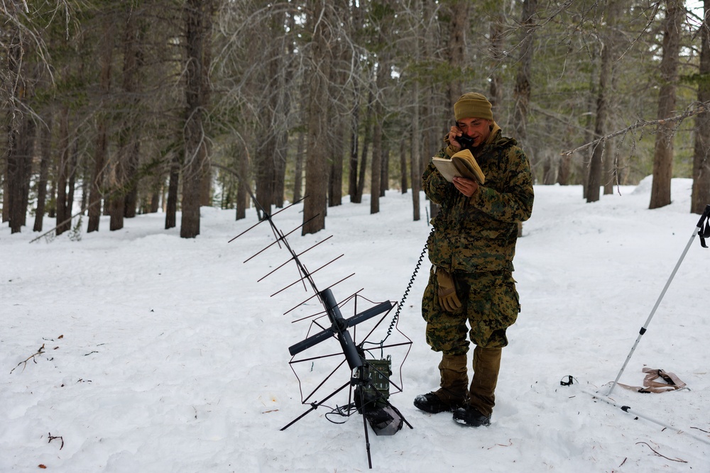 U.S. Marines with 2nd Bn., 4th Marines conduct force-on-force training during MTX 1-26