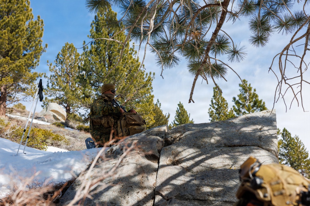 U.S. Marines with 2nd Bn., 4th Marines conduct force-on-force training during MTX 1-26
