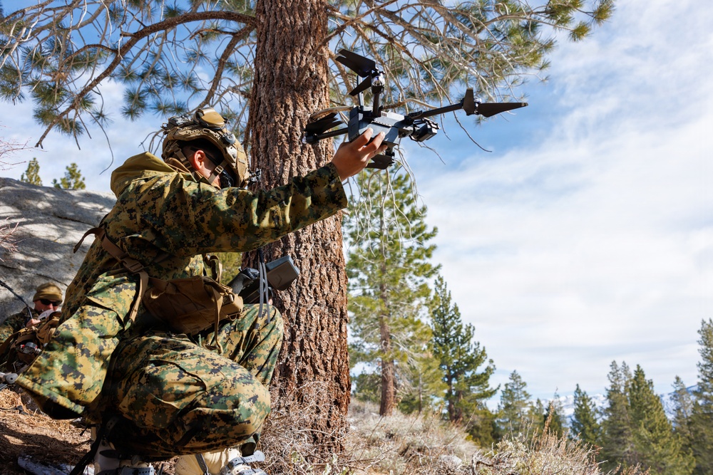 U.S. Marines with 2nd Bn., 4th Marines conduct force-on-force training during MTX 1-26