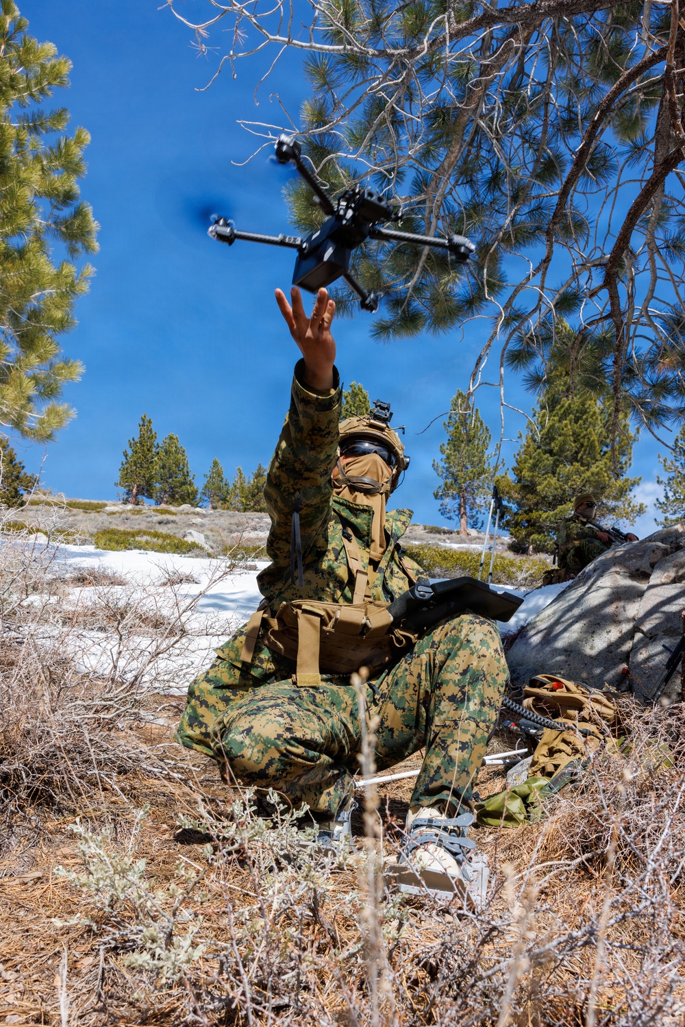 U.S. Marines with 2nd Bn., 4th Marines conduct force-on-force training during MTX 1-26