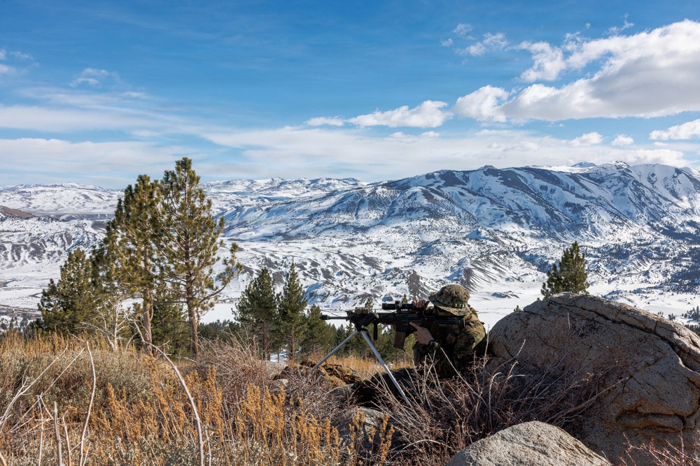 U.S. Marines with 2nd Bn., 4th Marines conduct force-on-force training during MTX 1-26