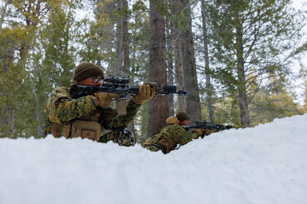 U.S. Marines with 2nd Bn., 4th Marines conduct force-on-force training during MTX 1-26