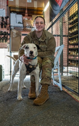 A Battle Buddy of a Different Kind: Soldier Adopts Dog on Mission