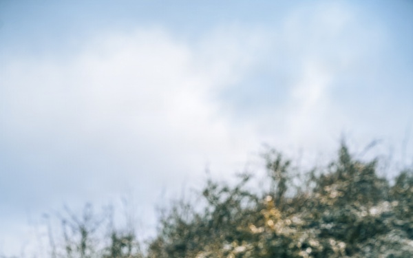 Combined Resolve 26-05