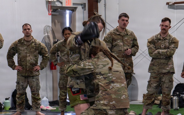 Pa. Army Guard Combatives Program sees increased participation