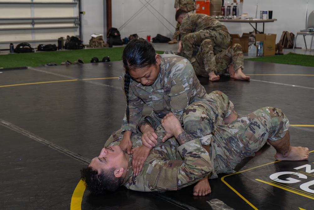 Pa. Army Guard Combatives Program sees increased participation