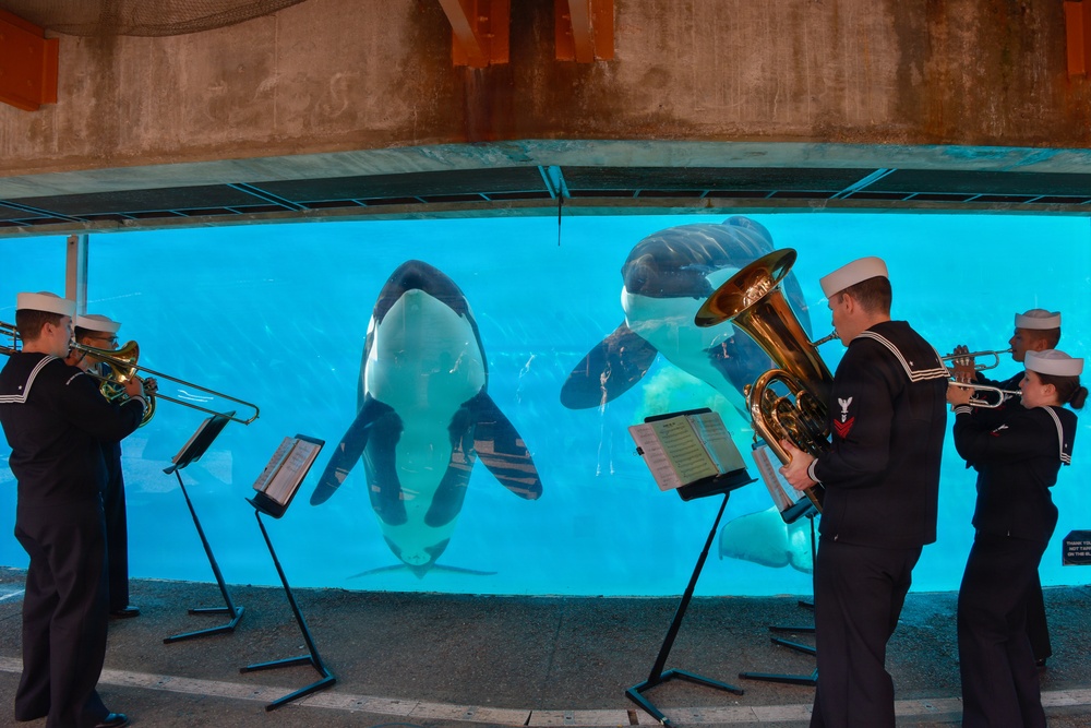 Navy Band Southwest Performs at Sea World’s Presidents Day Military Appreciation Weekend