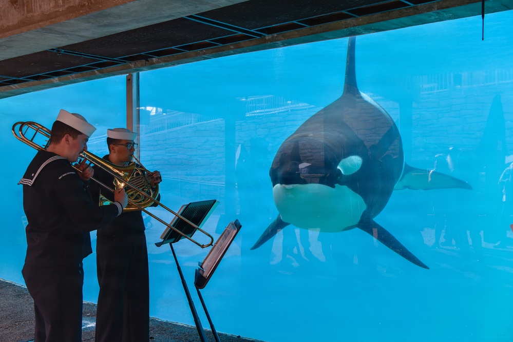 Navy Band Southwest Performs at Sea World’s Presidents Day Military Appreciation Weekend