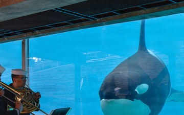 Navy Band Southwest Performs at Sea World’s Presidents Day Military Appreciation Weekend
