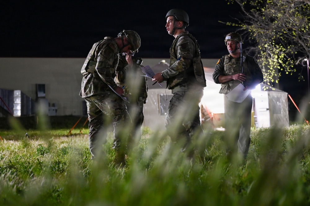 Bamboo Eagle After Dark