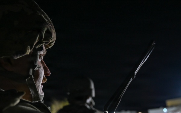 Bamboo Eagle After Dark