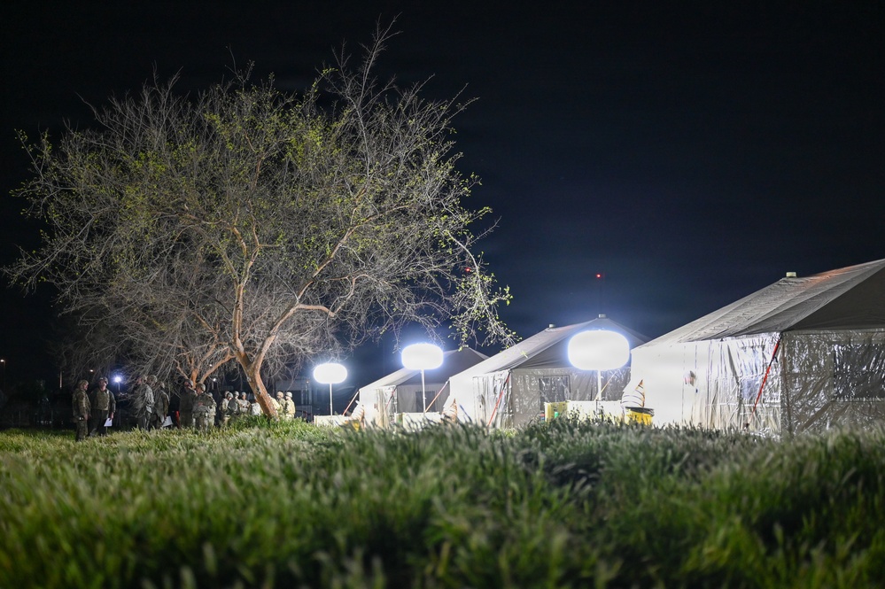 Bamboo Eagle After Dark