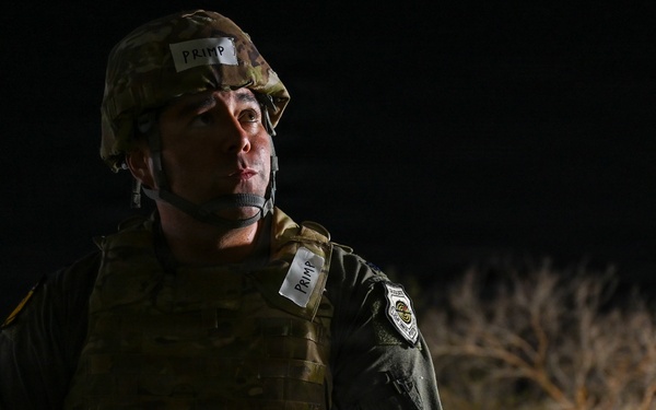 Bamboo Eagle After Dark