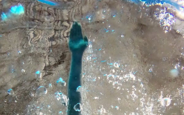 Six teams compete in intramural 4x4 swim relay at Camp Zama's Yano pool