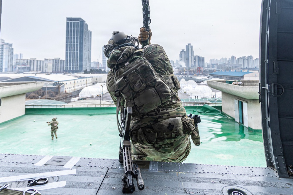 2-2 AHB Conducts Combined Air Assault Training