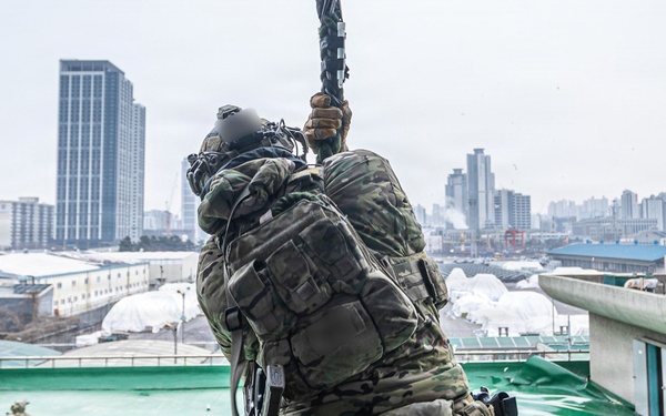 2-2 AHB Conducts Combined Air Assault Training