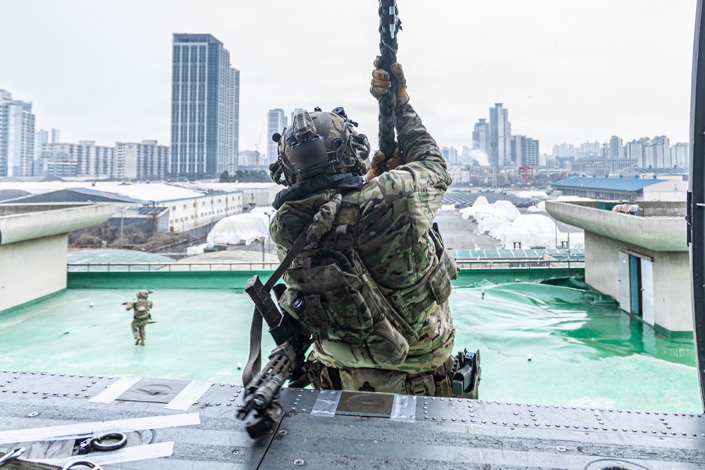 2-2 AHB Conducts Combined Air Assault Training