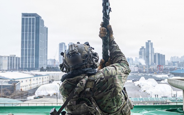 2-2 AHB Conducts Combined Air Assault Training