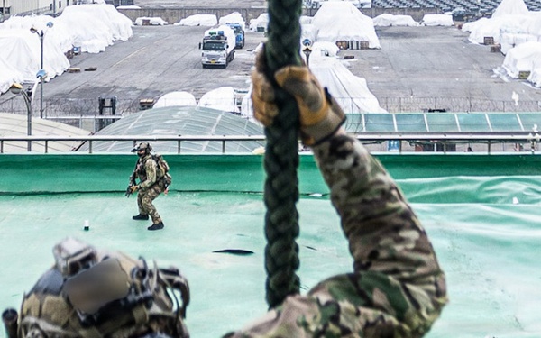 2-2 AHB Conducts Combined Air Assault Training