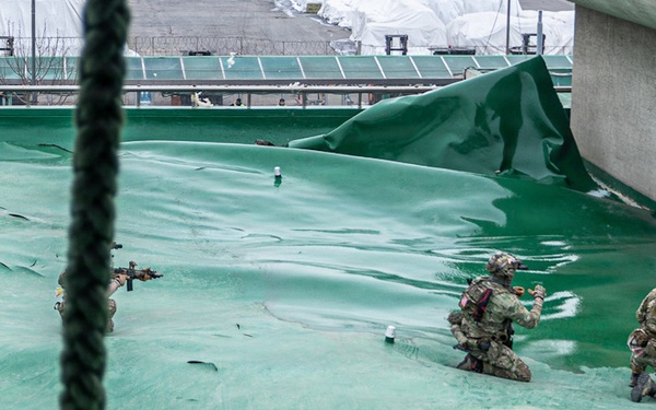 2-2 AHB Conducts Combined Air Assault Training