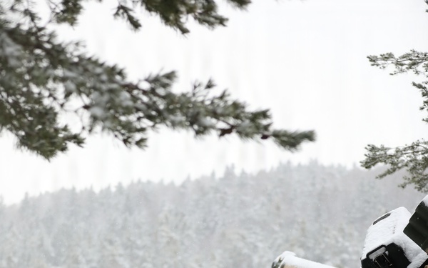 U.S. Army Tank Maintains Security Posture in the Woods During Combined Resolve 26-05 in Hohenfels, Germany
