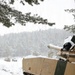 U.S. Army Tank Maintains Security Posture in the Woods During Combined Resolve 26-05 in Hohenfels, Germany