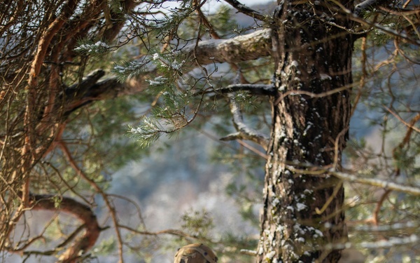 U.S. Soldiers Maneuvers through Attack during Combined Resolve 26-05