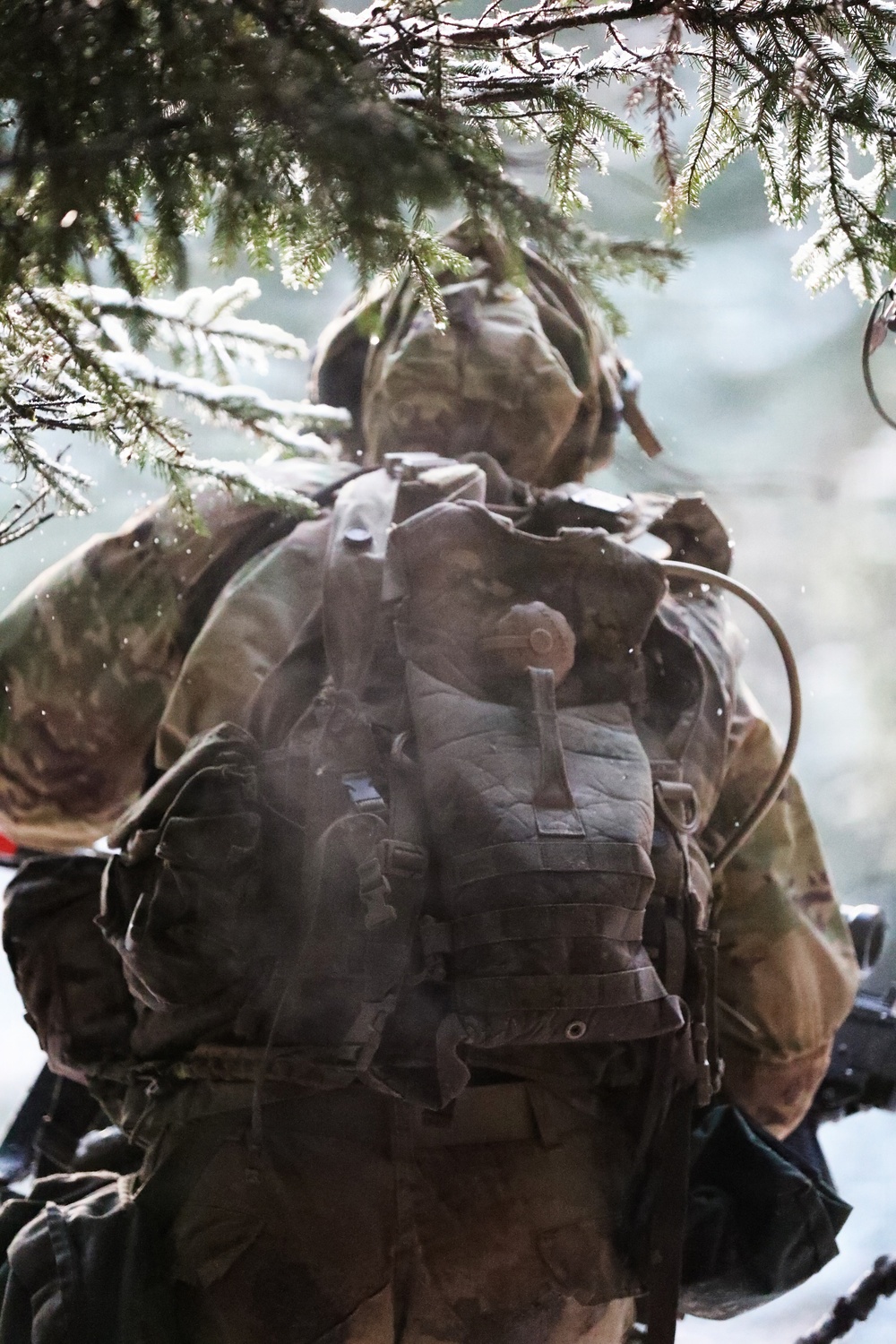 U.S. Army Soldier Reacts To Contact During Combined Resolve 26-05 in Hohenfels, Germany