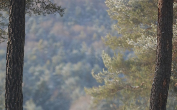 U.S. Army Soldier Stands at the Ready During Combined Resolve 26-05 in Hohenfels, Germany