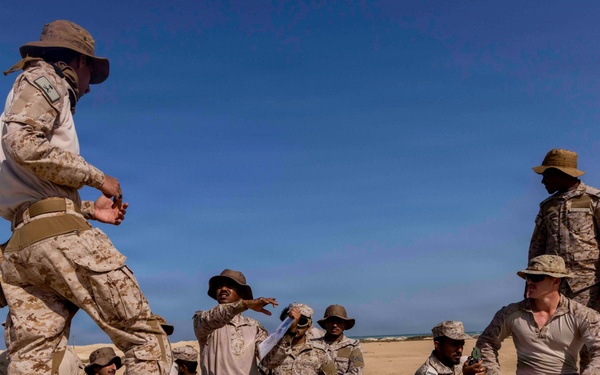 U.S. Navy and Royal Saudi Naval Forces Conducts Exercise Indigo Defender