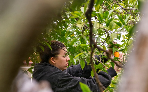 NSA Souda Bay gives back to the local community