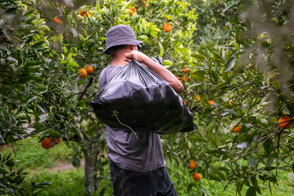 NSA Souda Bay gives back to the local community